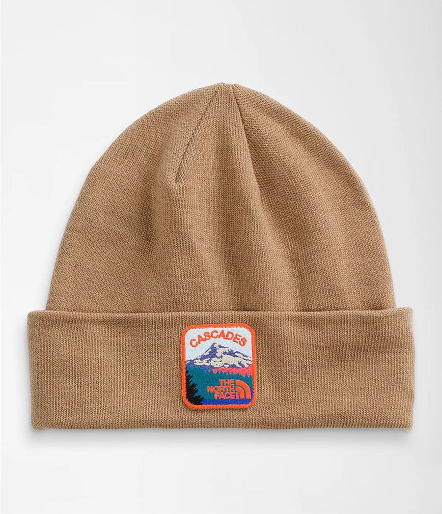 Pánské Beanies The North Face Embroidered Earthscape Hnědé | JMFYCGN-82