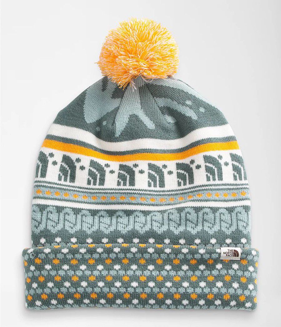 Pánské Beanies The North Face Ski Tuke Viacfarebný | PVQXYUL-03