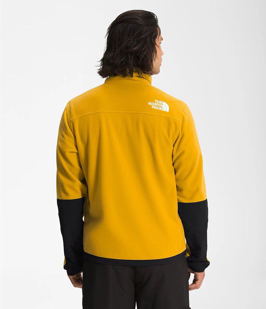 Pánské Fleece Bundy The North Face Tka Kataka Fleece Žluté | RGEHXPZ-72