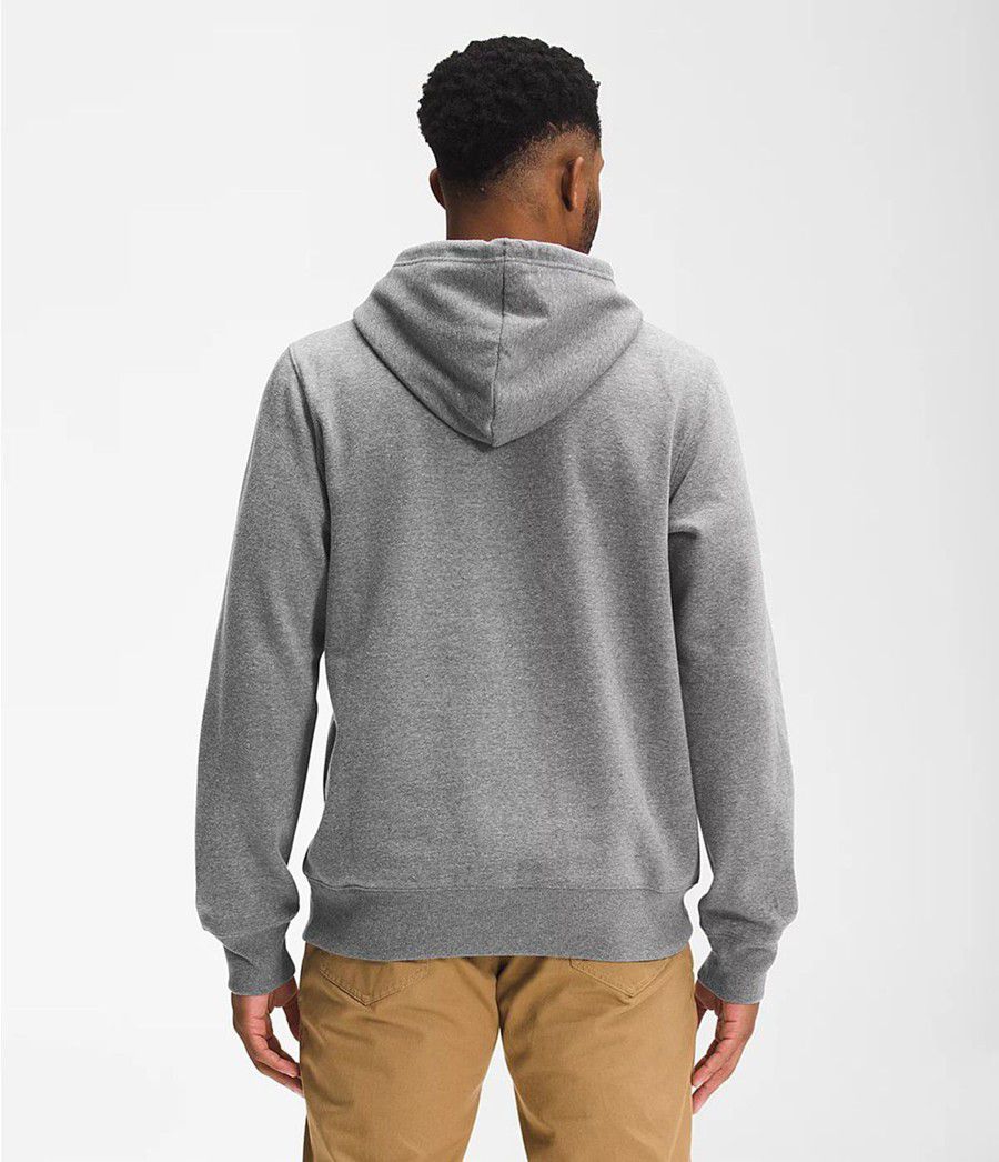 Pánské Hoodies The North Face Bearscape Pullover Šedé | IYSZFDC-59