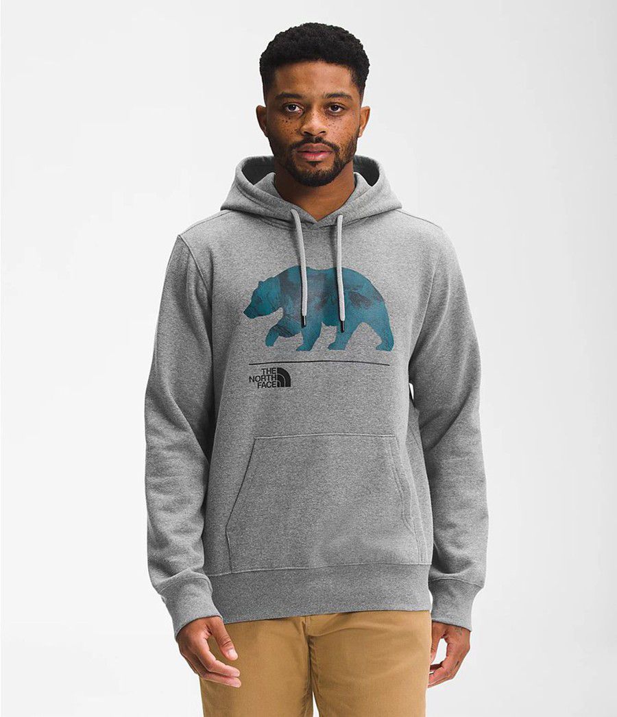 Pánské Hoodies The North Face Bearscape Pullover Šedé | IYSZFDC-59