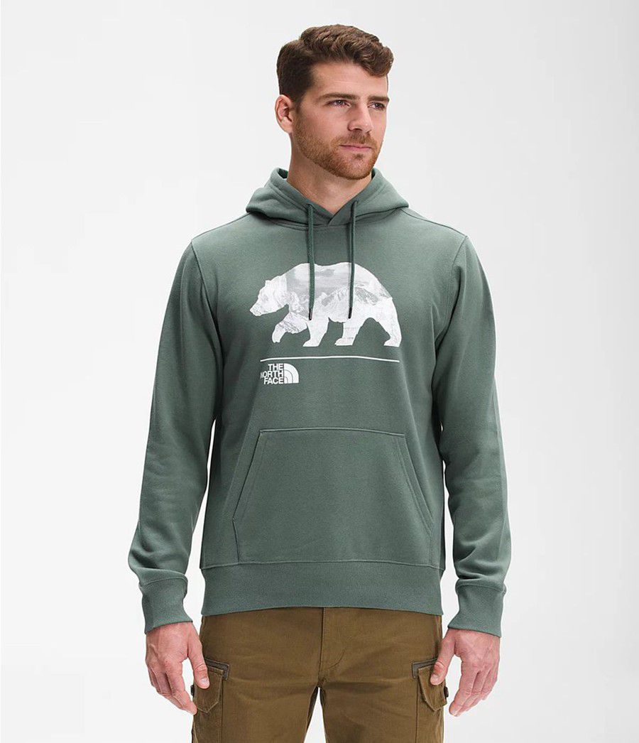 Pánské Hoodies The North Face Bearscape Pullover Zelene | YMUAWNR-09