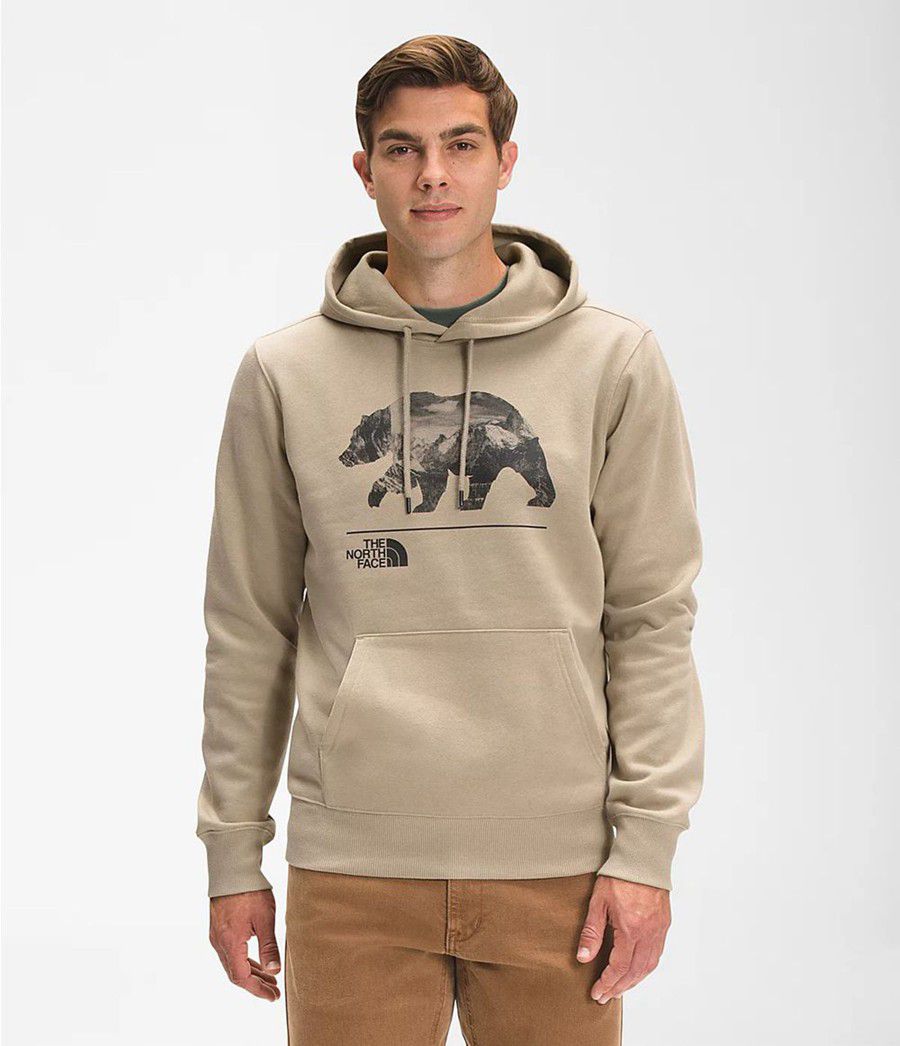 Pánské Hoodies The North Face Bearscape Pullover Béžový | MXOFJIT-10