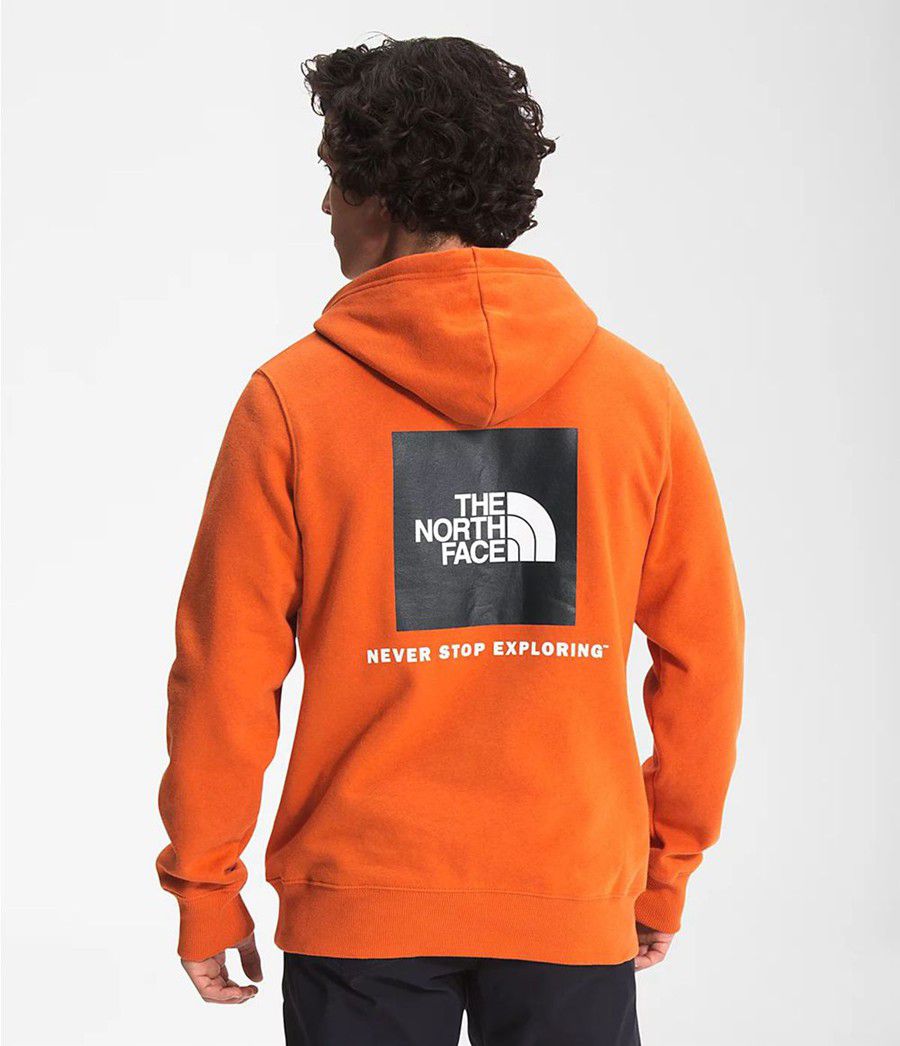 Pánské Hoodies The North Face Box Nse Pullover Oranžové | OXUPHJI-38