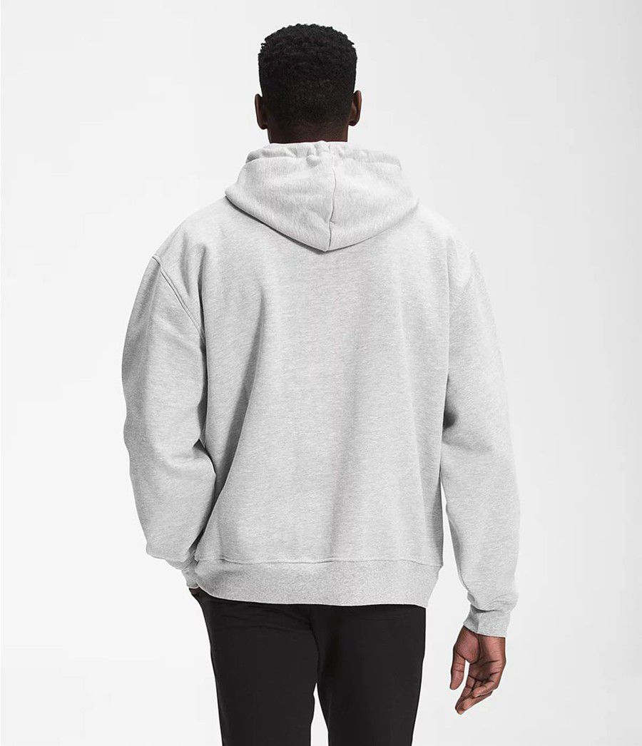 Pánské Hoodies The North Face City Standard Světle Šedé | LEUOHIJ-21