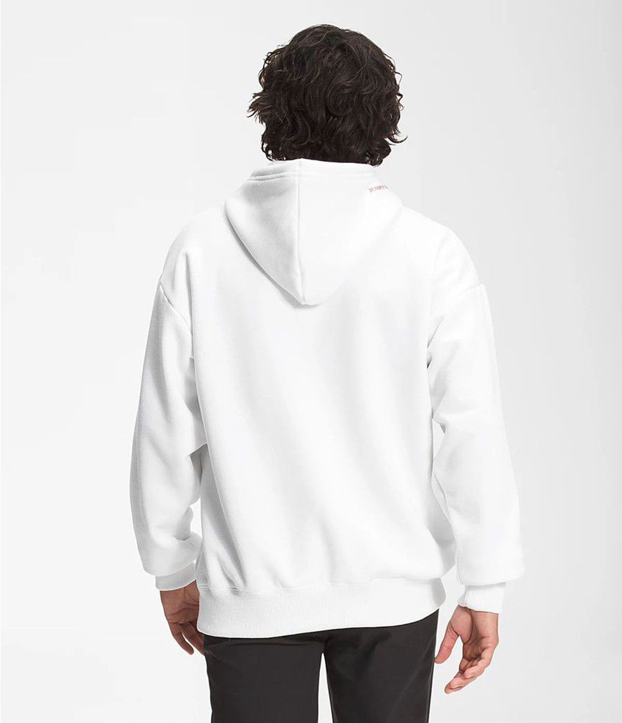 Pánské Hoodies The North Face Coordinates Pullover Bílé | FICZOWV-52