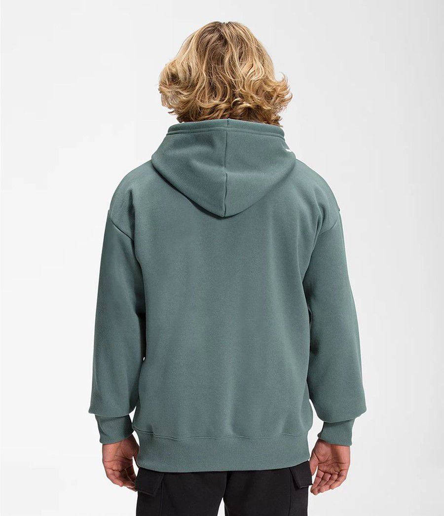 Pánské Hoodies The North Face Coordinates Pullover Zelene | DOGYQWB-67