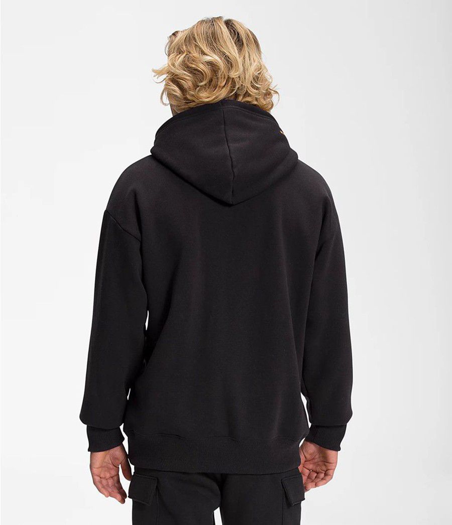 Pánské Hoodies The North Face Coordinates Pullover Černé | CWASYTH-43