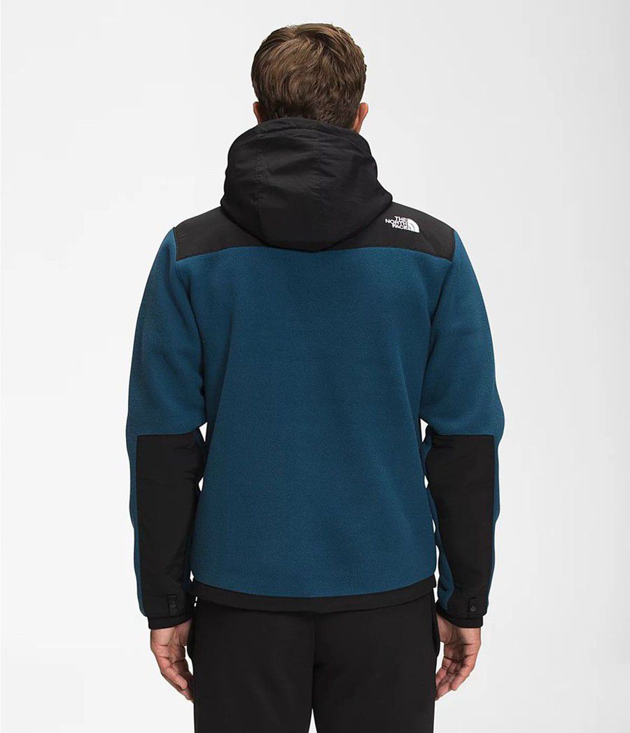 Pánské Hoodies The North Face Denali 2 Blankyt | MWPFEAJ-64