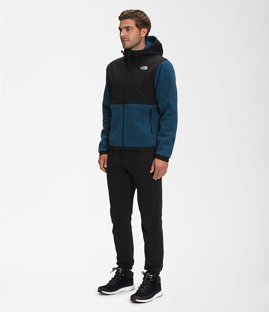 Pánské Hoodies The North Face Denali 2 Blankyt | MWPFEAJ-64