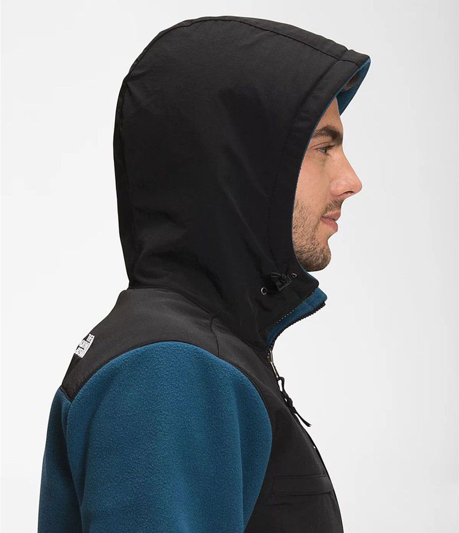 Pánské Hoodies The North Face Denali 2 Blankyt | MWPFEAJ-64