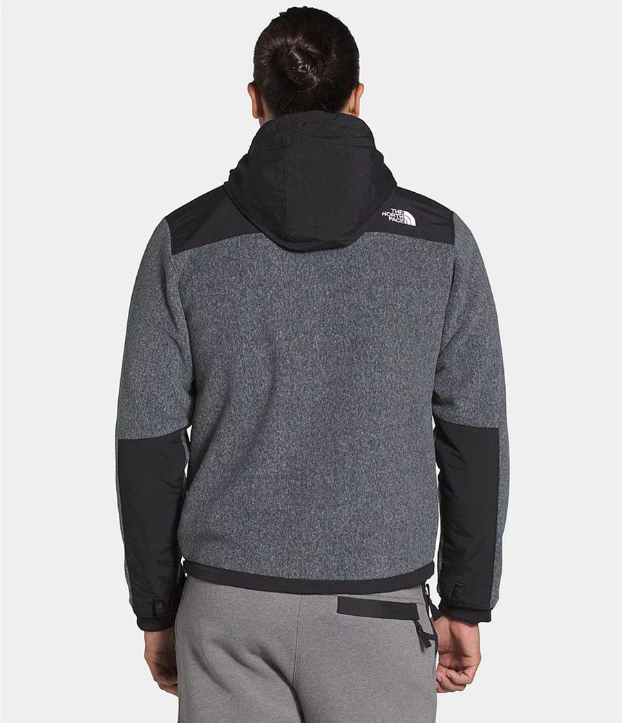 Pánské Hoodies The North Face Denali 2 Šedé | JRULKIS-93