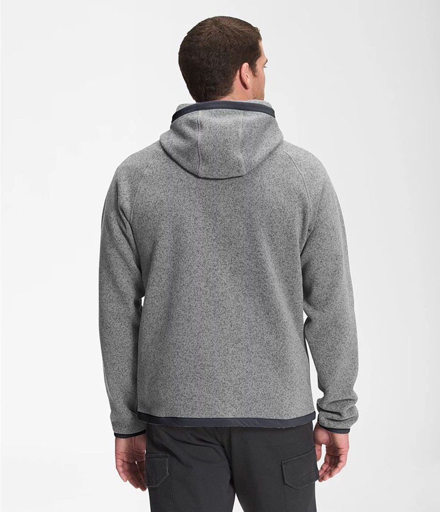Pánské Hoodies The North Face Gordon Lyons Šedé | EZPQMSD-53