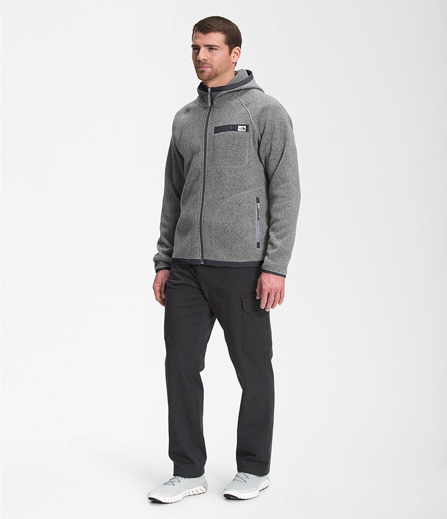Pánské Hoodies The North Face Gordon Lyons Šedé | EZPQMSD-53