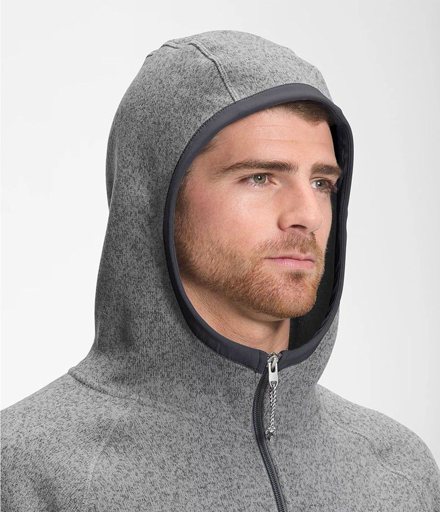 Pánské Hoodies The North Face Gordon Lyons Šedé | EZPQMSD-53