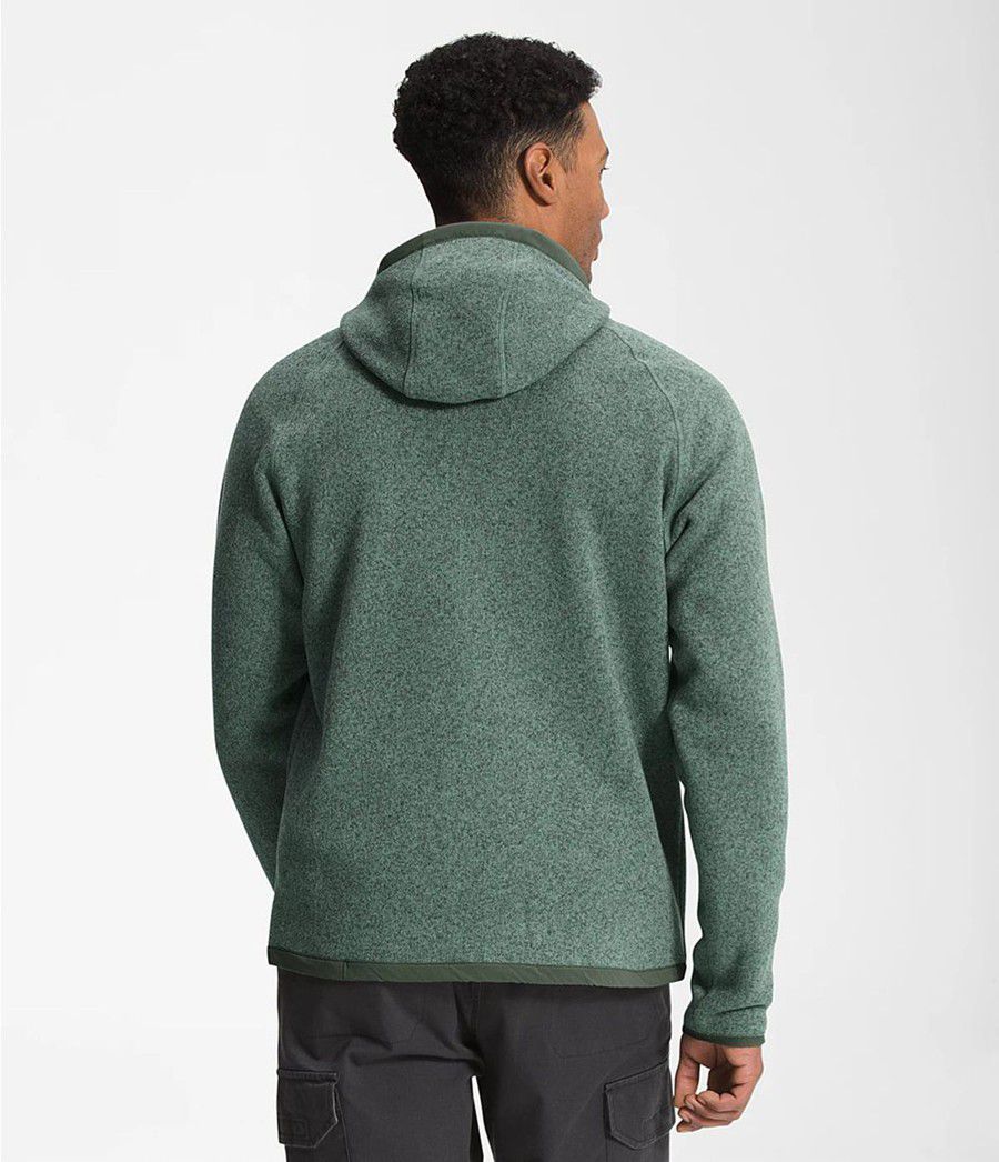 Pánské Hoodies The North Face Gordon Lyons Zelene | NZUSEWG-98