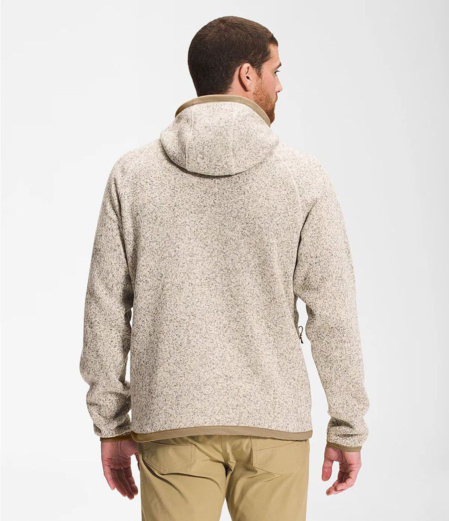 Pánské Hoodies The North Face Gordon Lyons Béžový | BWUFVKS-39