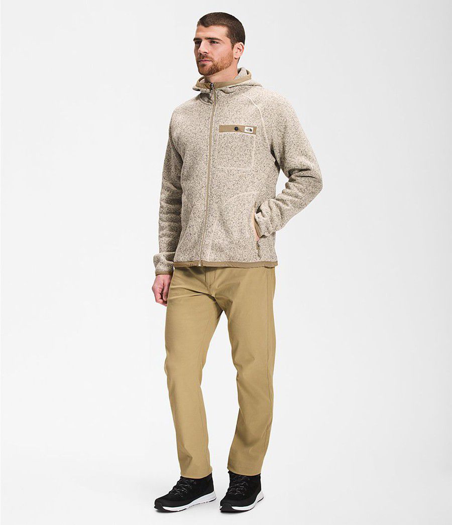 Pánské Hoodies The North Face Gordon Lyons Béžový | BWUFVKS-39