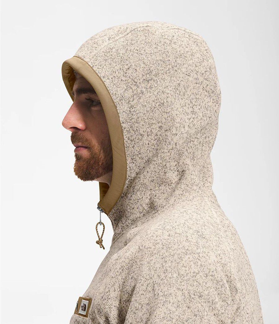 Pánské Hoodies The North Face Gordon Lyons Béžový | BWUFVKS-39