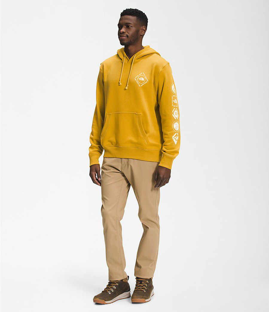 Pánské Hoodies The North Face Himalayan Bottle Source Pullover Žluté | QTXCFLD-86