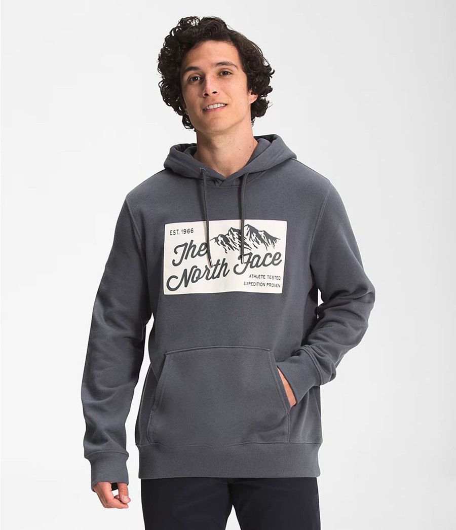 Pánské Hoodies The North Face Holiday Šedé | HZOLYMD-17