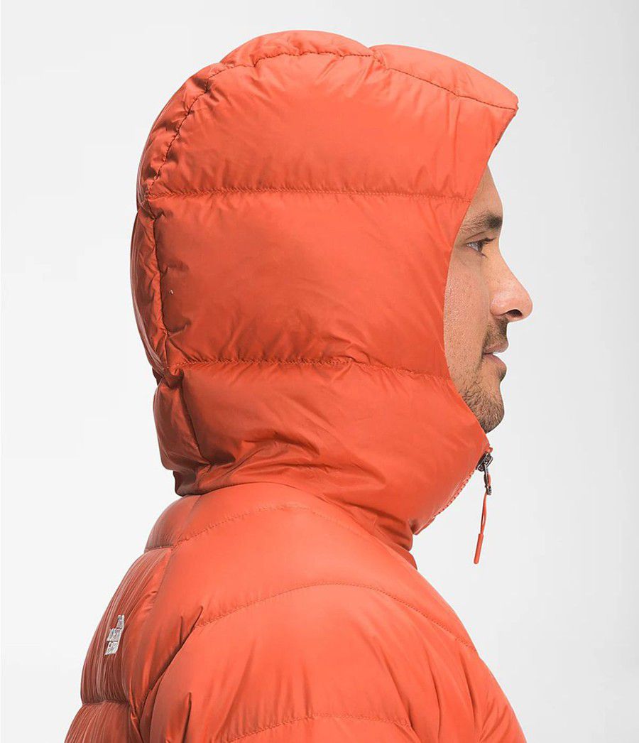 Pánské Hoodies The North Face Hydrenalite Down Oranžové | TMILBFQ-68