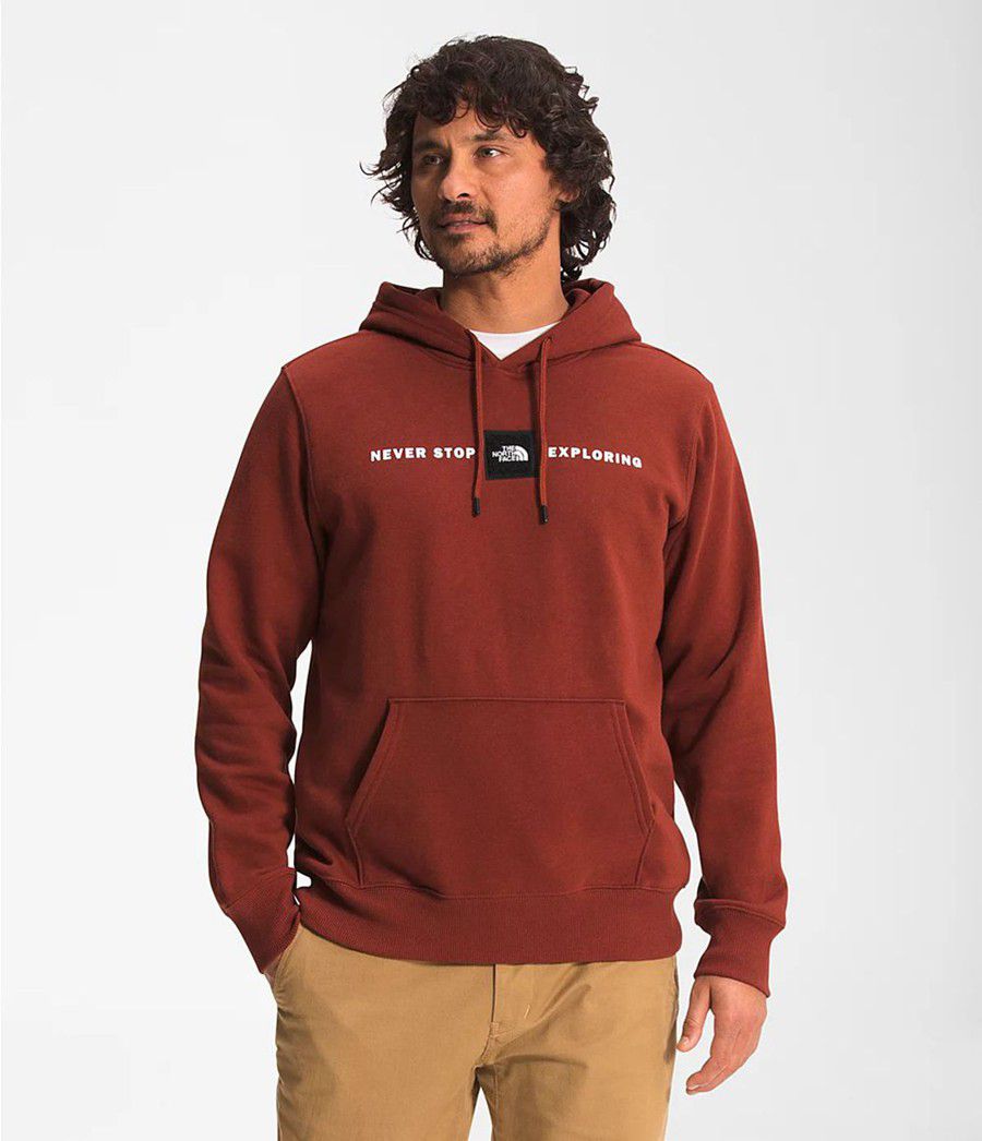 Pánské Hoodies The North Face Reds Pullover Červené | OGQCFUI-78