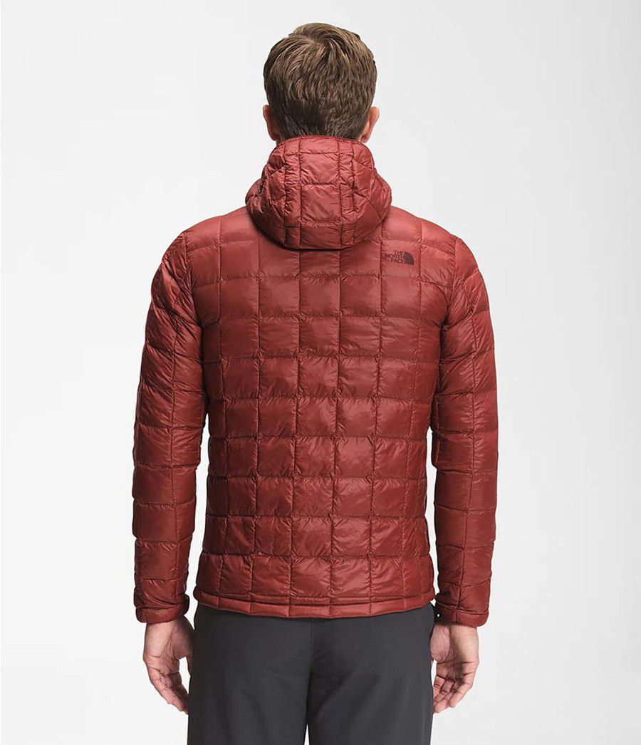 Pánské Hoodies The North Face Thermoball Eco Červené | MHSEGDF-50