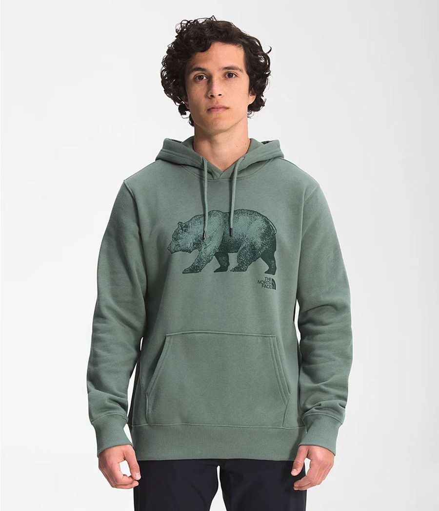 Pánské Hoodies The North Face Tnf Bear Pullover Zelene | ZIUFGNW-65