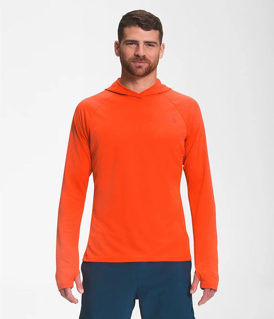 Pánské Hoodies The North Face Wander Sun Oranžové | THZLEWC-80