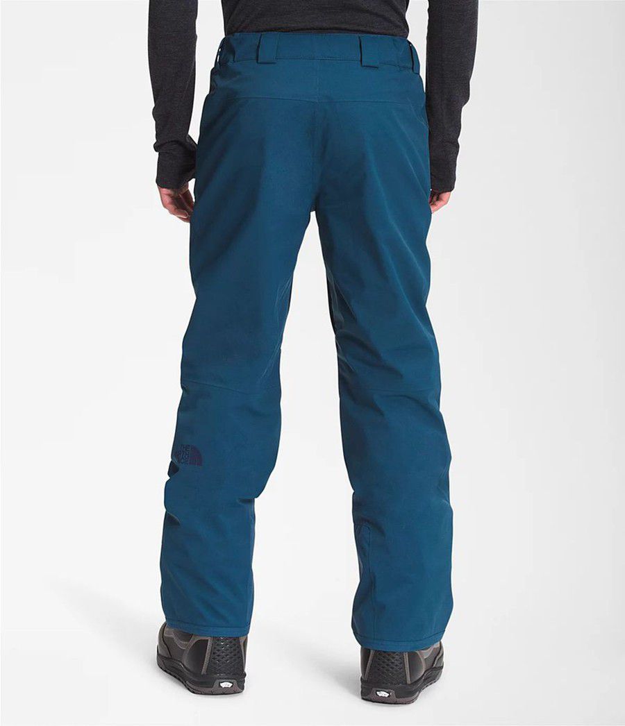 Pánské Kalhoty The North Face Chakal Blankyt | QUWORMI-15