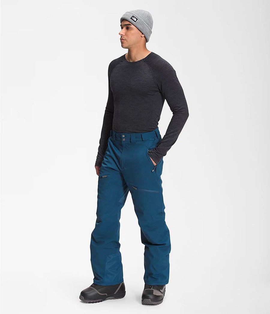 Pánské Kalhoty The North Face Chakal Blankyt | QUWORMI-15