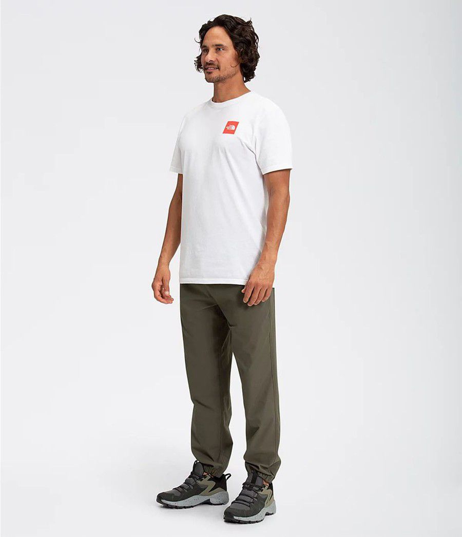 Pánské Kalhoty The North Face City Standard Jogger Taupe | OCTNFVG-08