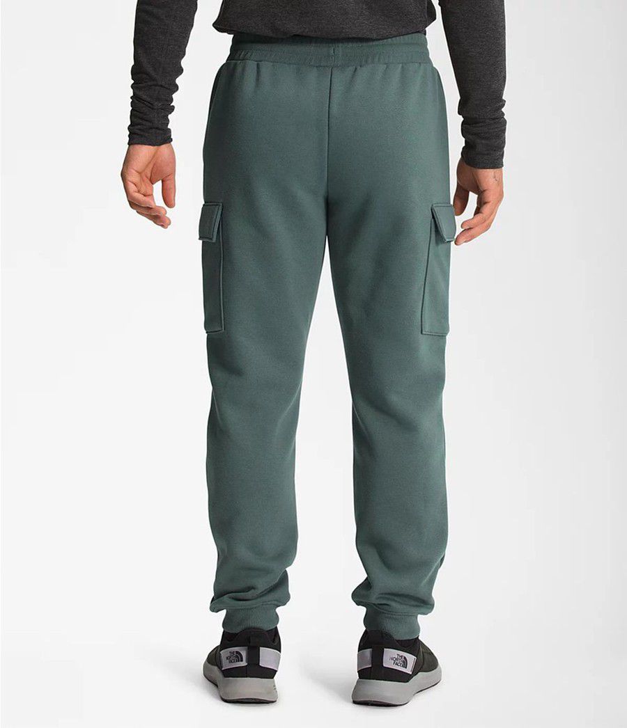 Pánské Kalhoty The North Face Coordinates Zelene | SWAIRZU-70