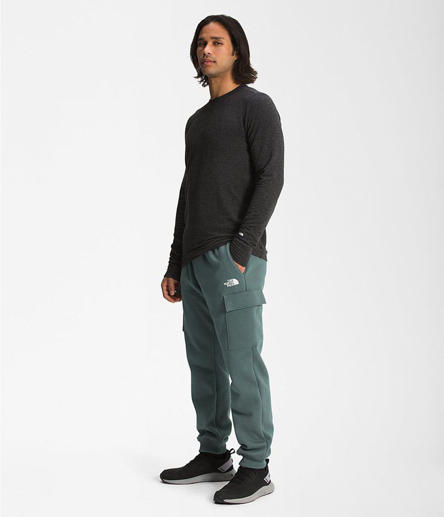 Pánské Kalhoty The North Face Coordinates Zelene | SWAIRZU-70