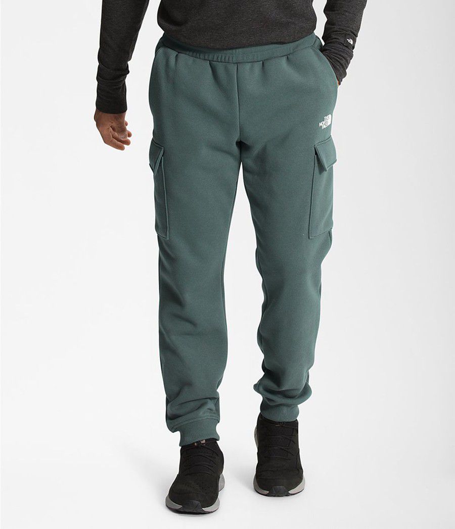 Pánské Kalhoty The North Face Coordinates Zelene | SWAIRZU-70