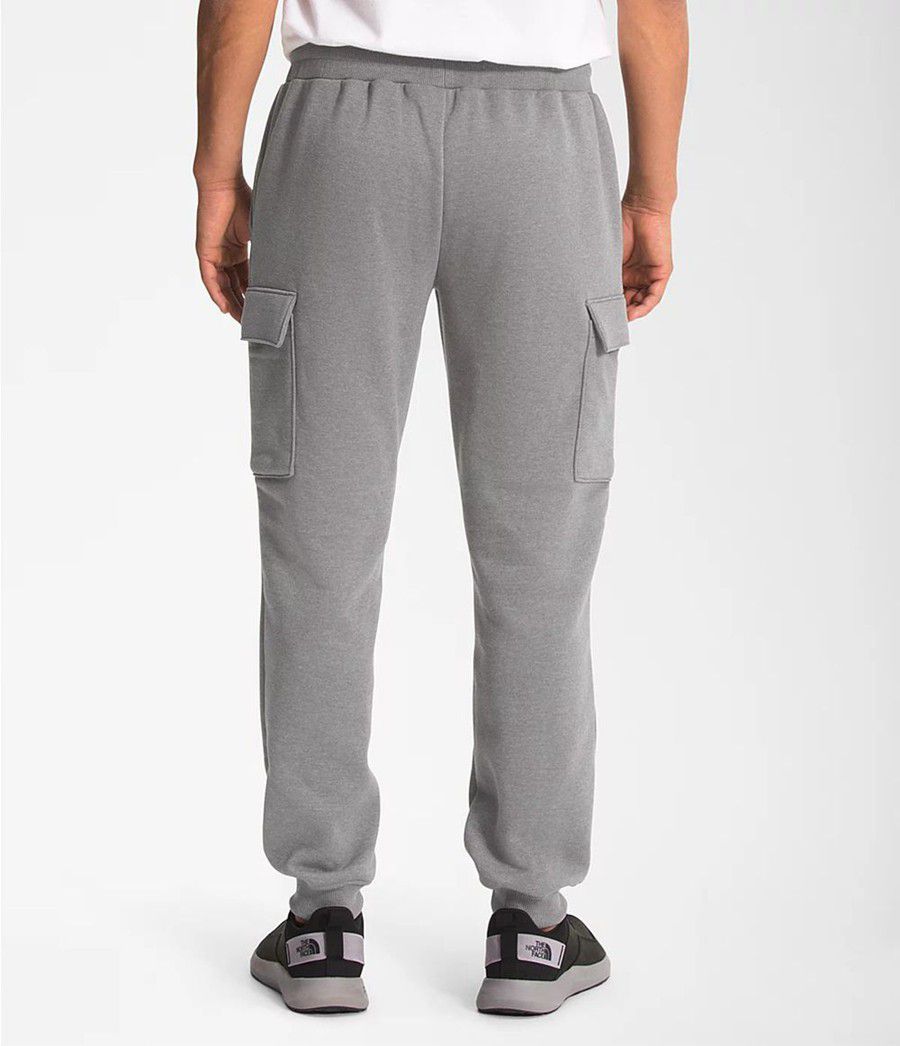 Pánské Kalhoty The North Face Coordinates Šedé | MYTEQDU-25