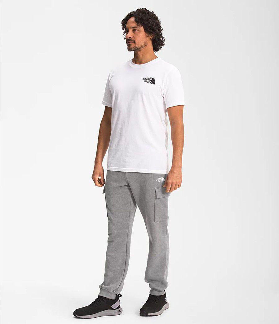 Pánské Kalhoty The North Face Coordinates Šedé | MYTEQDU-25