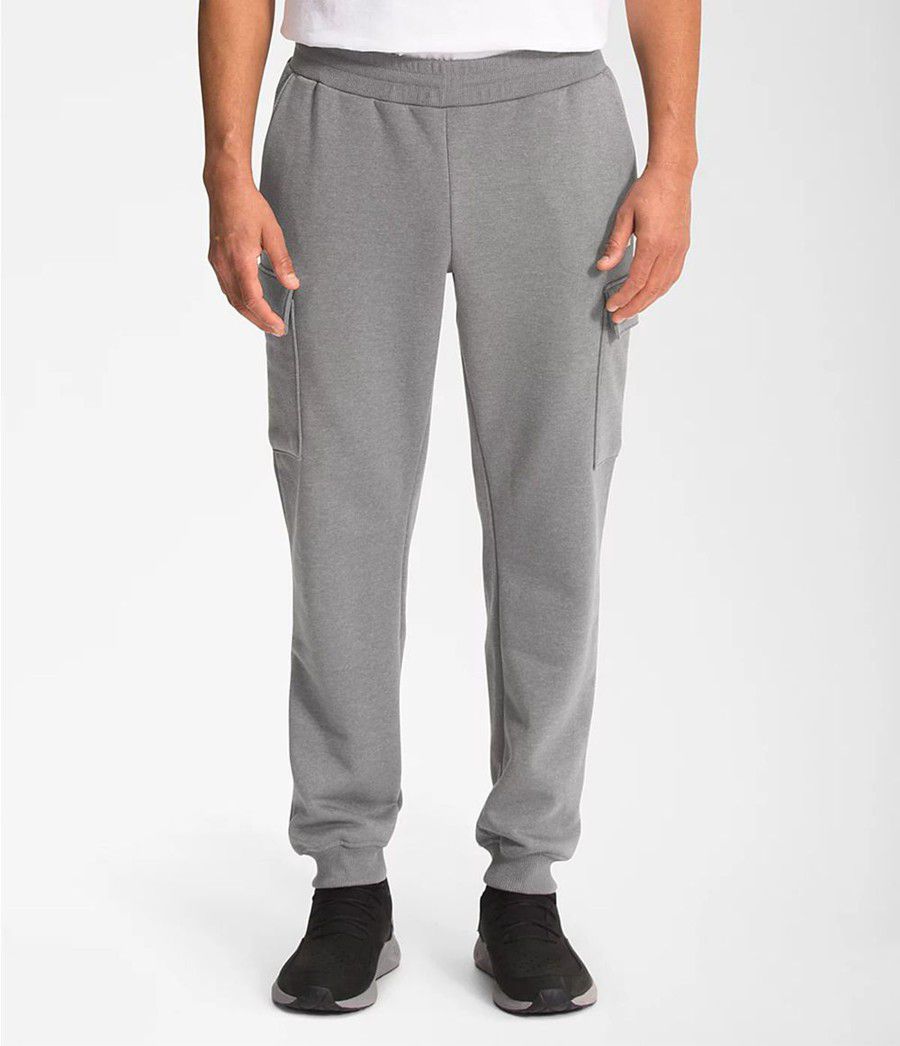 Pánské Kalhoty The North Face Coordinates Šedé | MYTEQDU-25