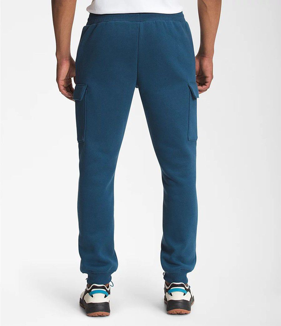 Pánské Kalhoty The North Face Coordinates Blankyt | PMZNLWO-61