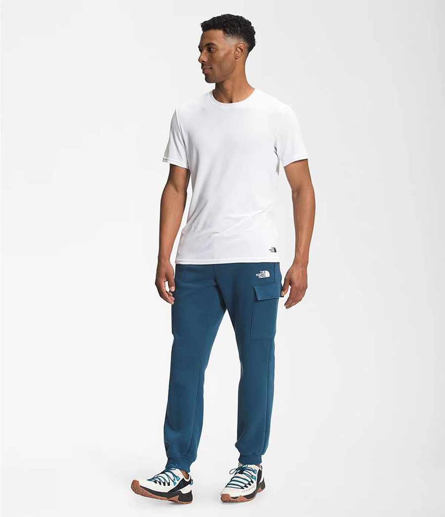 Pánské Kalhoty The North Face Coordinates Blankyt | PMZNLWO-61