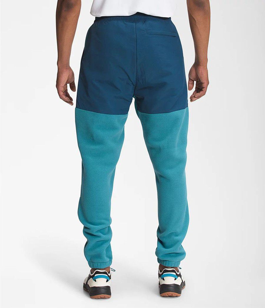 Pánské Kalhoty The North Face Denali 2 Blankyt | OPIJRZB-28