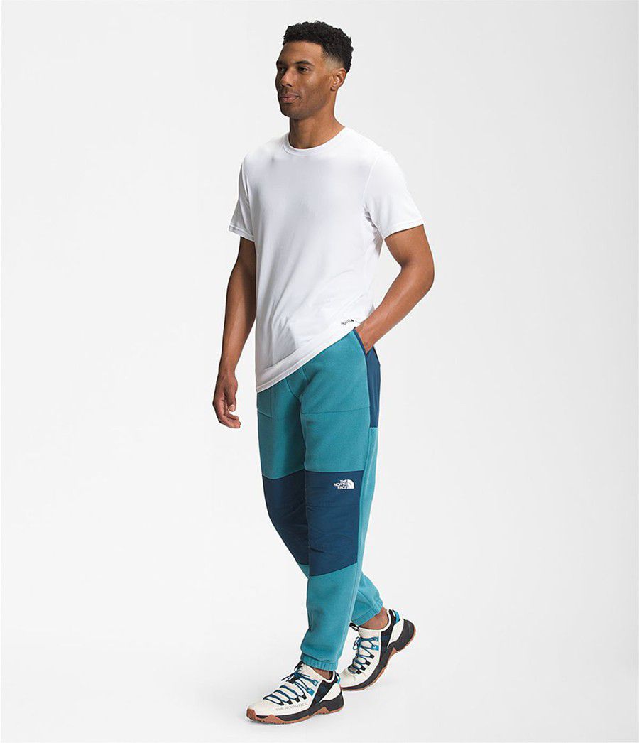 Pánské Kalhoty The North Face Denali 2 Blankyt | OPIJRZB-28