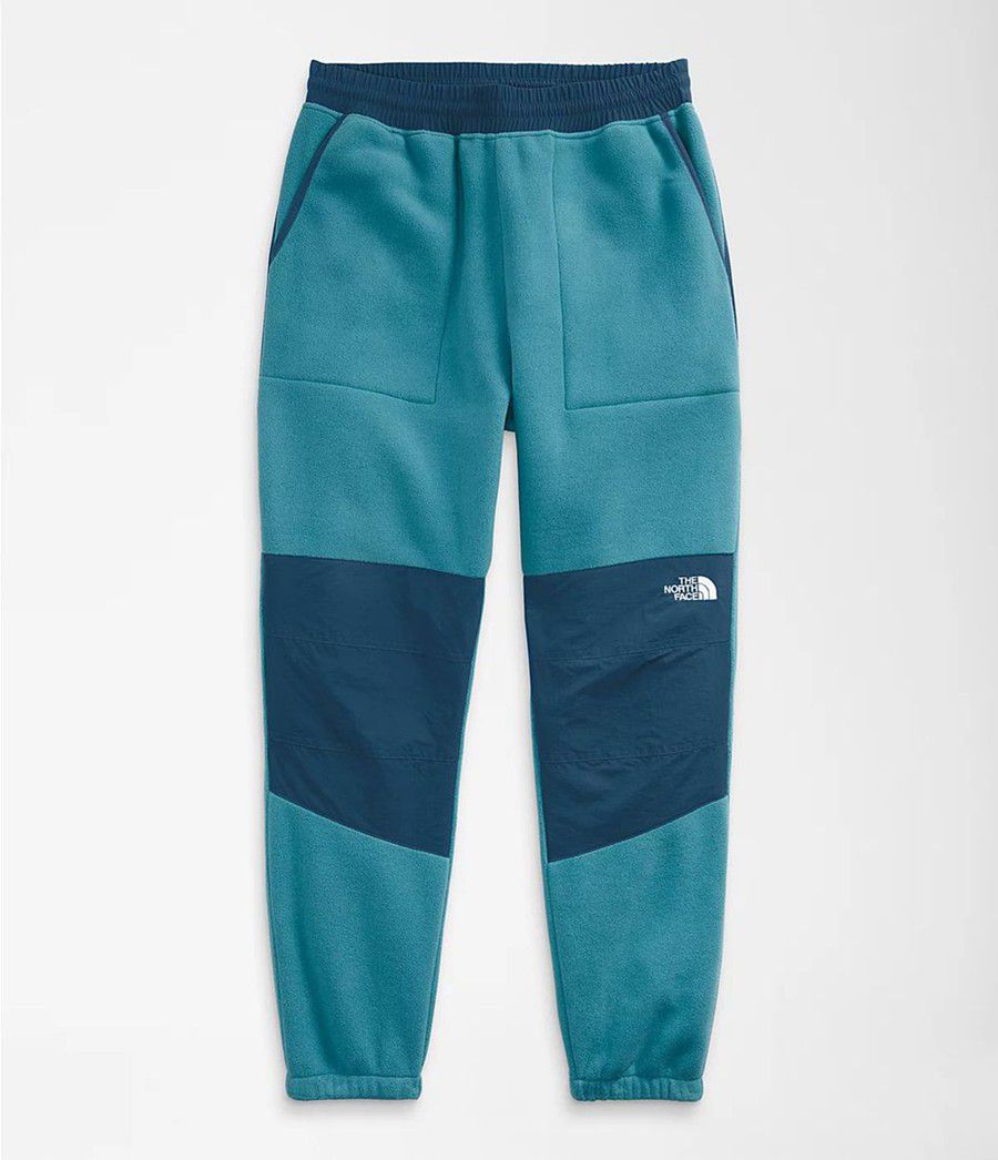 Pánské Kalhoty The North Face Denali 2 Blankyt | OPIJRZB-28