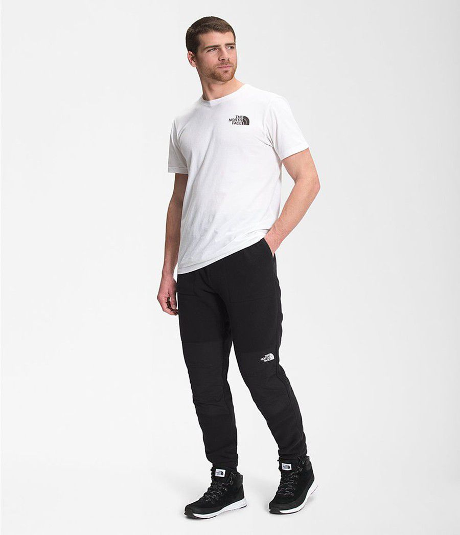 Pánské Kalhoty The North Face Denali 2 Černé | KIYZTDA-90