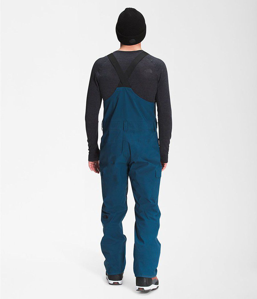Pánské Kalhoty The North Face Freedom Bib Blankyt | PTQESNM-14