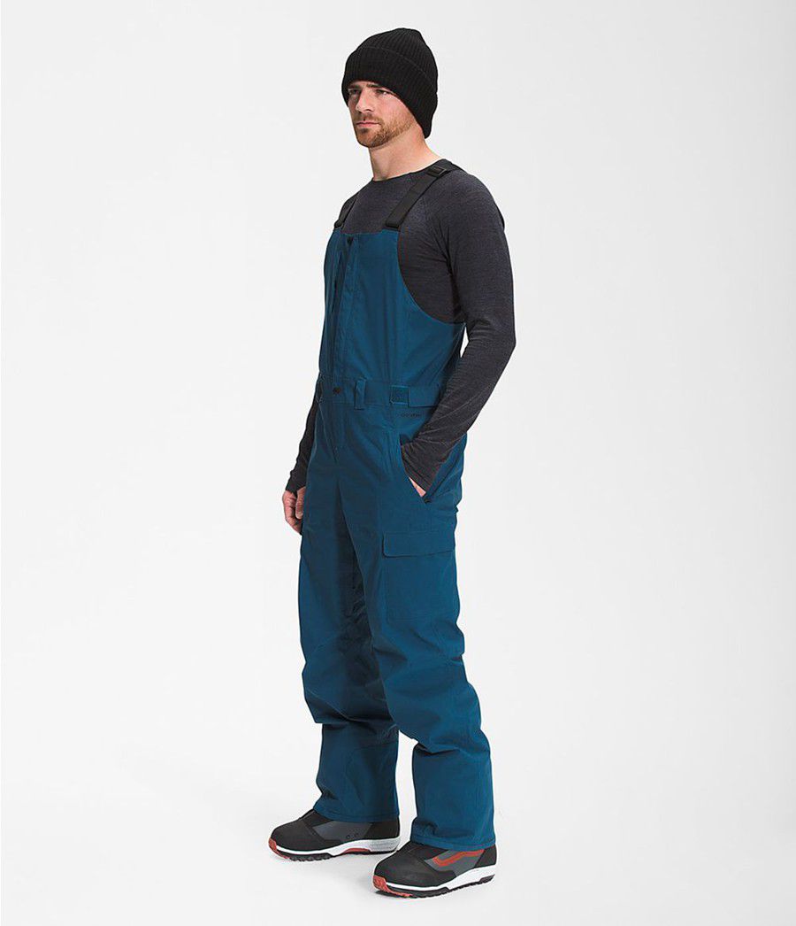 Pánské Kalhoty The North Face Freedom Bib Blankyt | PTQESNM-14
