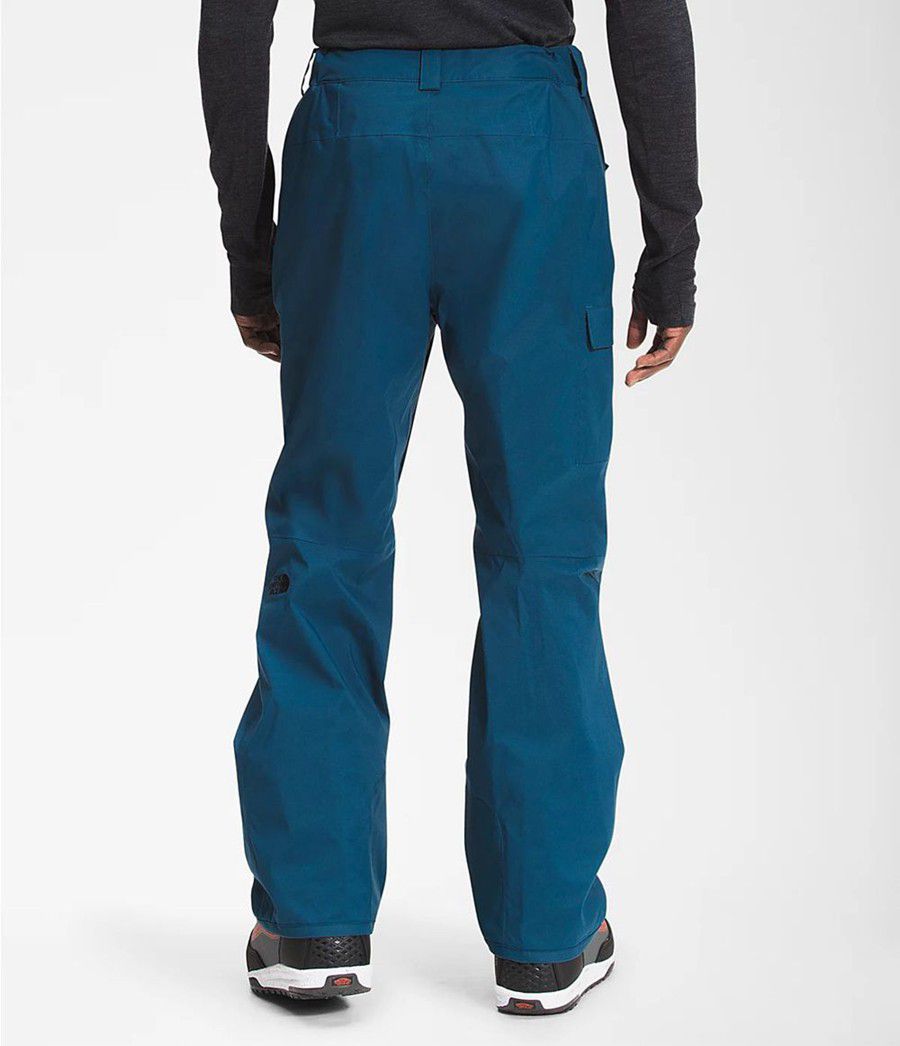 Pánské Kalhoty The North Face Freedom Blankyt | HAXWIJR-60