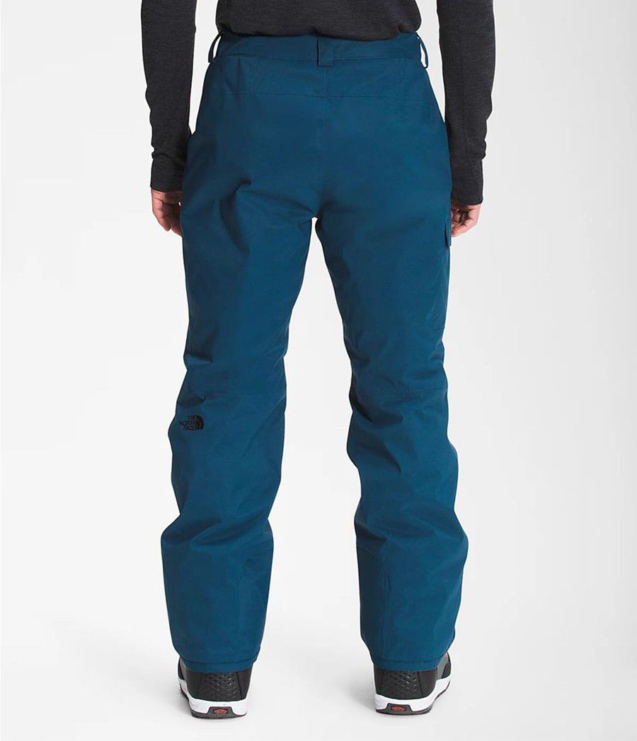 Pánské Kalhoty The North Face Freedom Insulated Blankyt | HVRFJUX-25