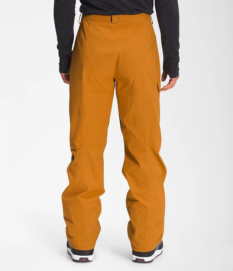 Pánské Kalhoty The North Face Freedom Žluté | HOUYCPE-86